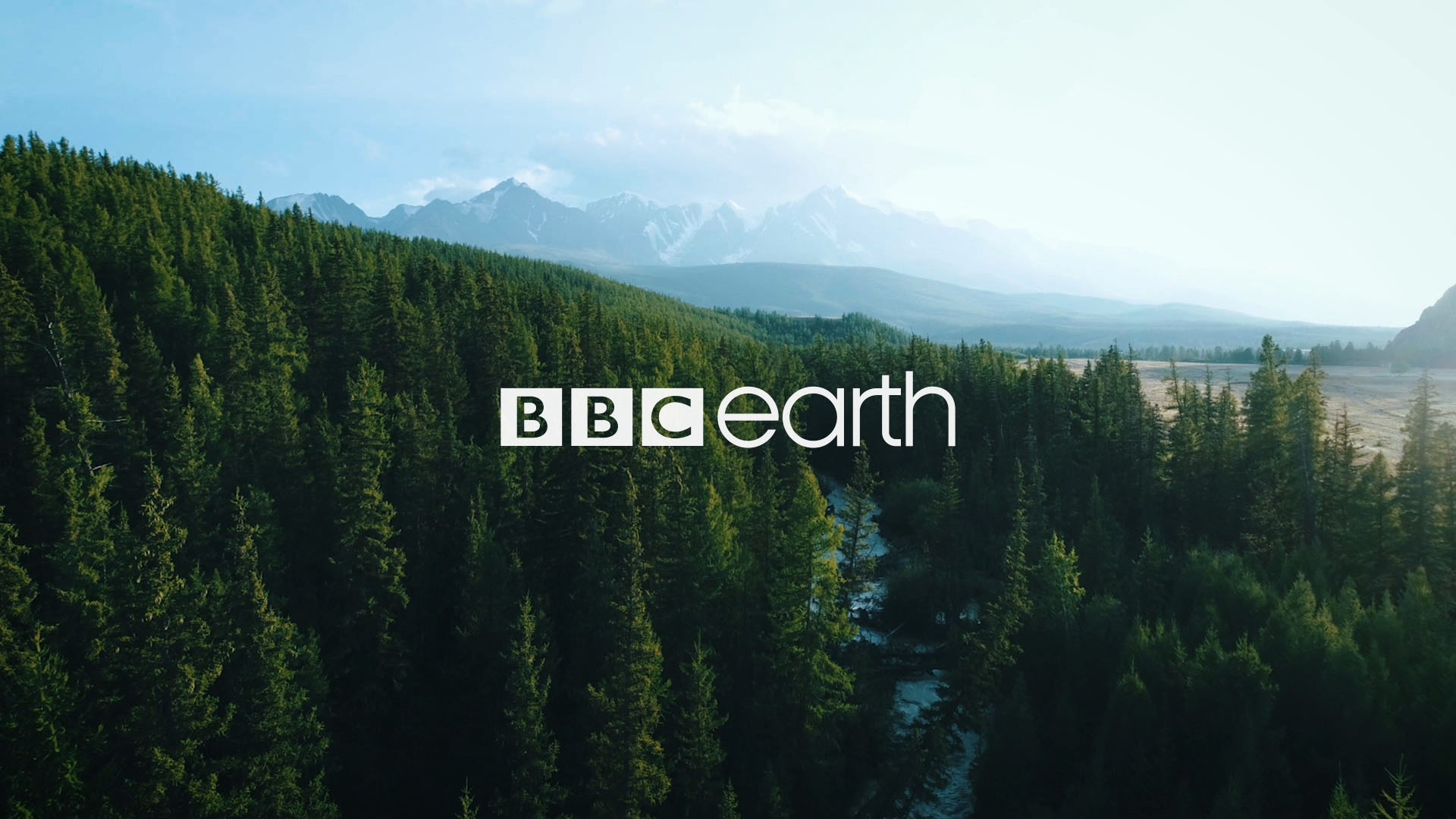 https://www.waproductions.com/images/work/examples/bbc-earth-01.jpg